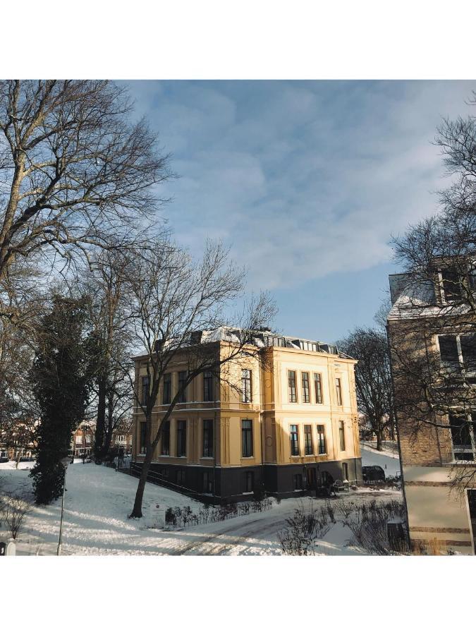 Haarlem Jugendstil Parkview: 1898 Renovated Apartment Exterior photo