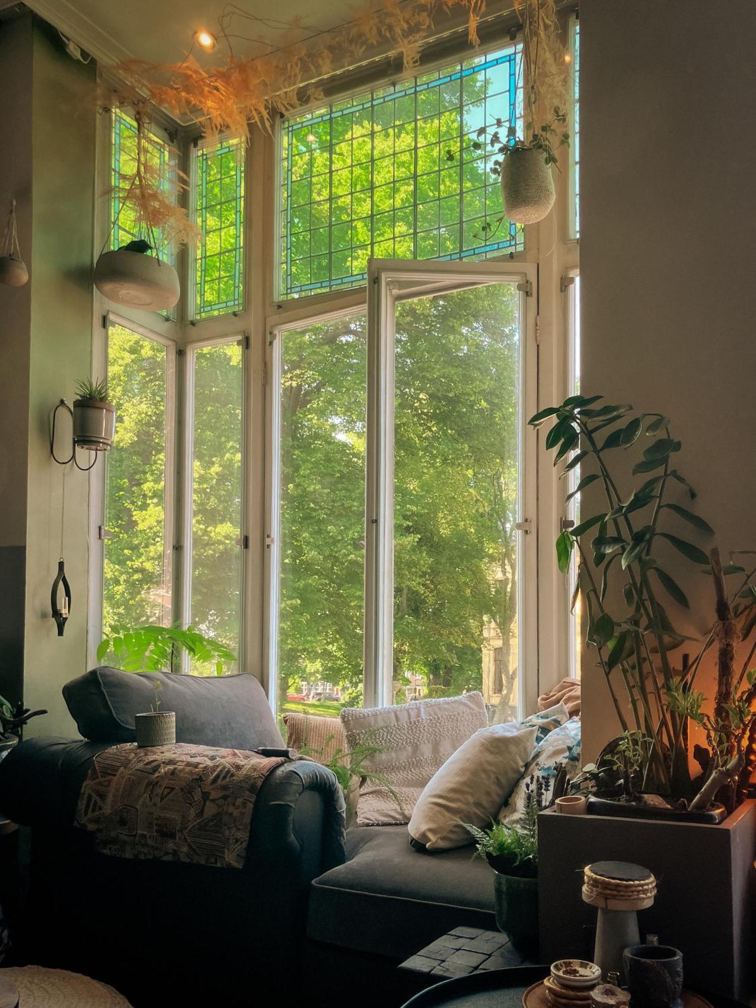 Haarlem Jugendstil Parkview: 1898 Renovated Apartment Exterior photo